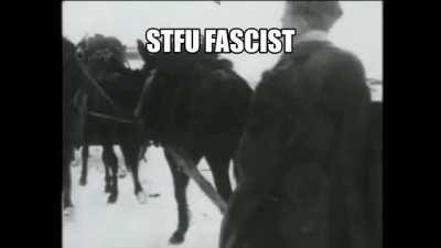 italy is a piss baby