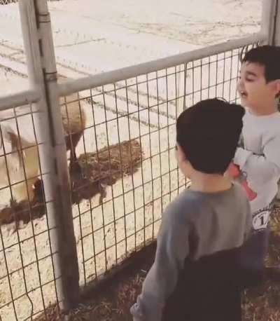 If he can do it, I can do it too!