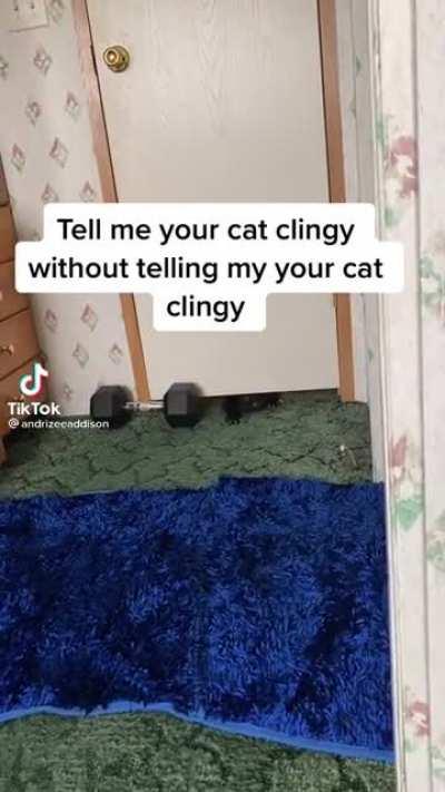 Only heard of rats doing this