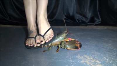 Crabbin' = flipflop action