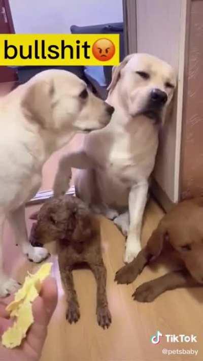 Why would you do this to me!?