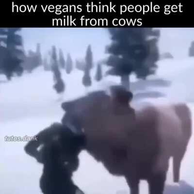 veganssss lol