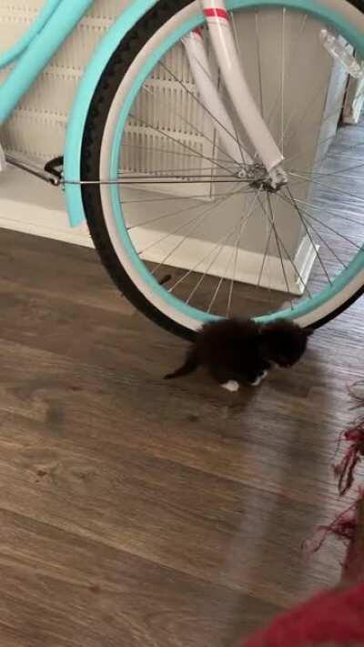 My baby on his first day home. He’s grown up now but he’s still this vocal.