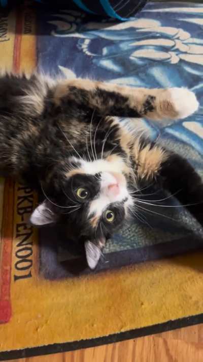 Email truly has an incredible way with words.