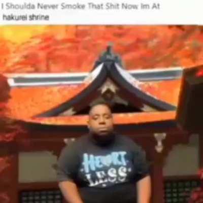 I shouldn’t have trusted that pothead raccoon