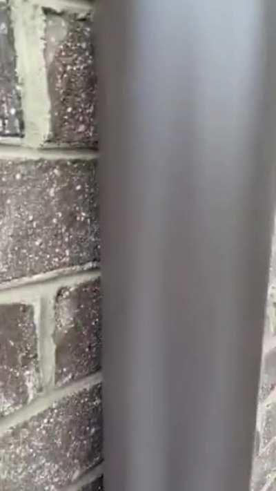 Condition of a 500k house