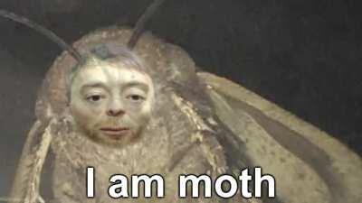 thom is moth