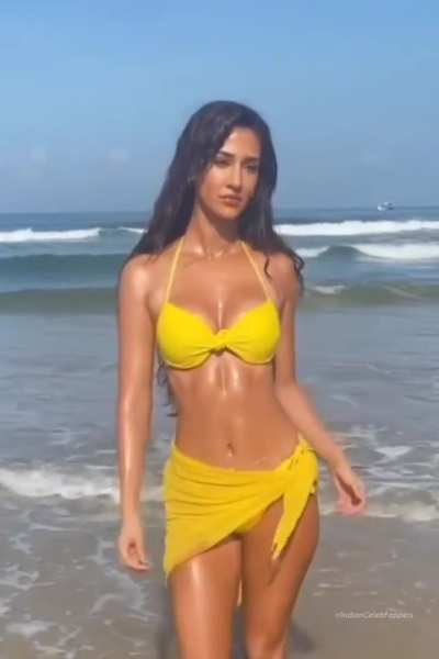 Disha Patani 