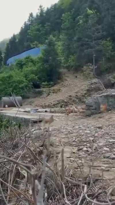 It's time for dinner...🍽️😅