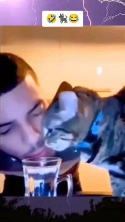 Cat: “are you serious right meow bro”