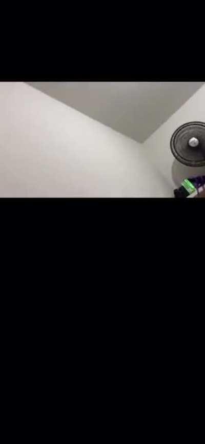 Some girl named Gabriela