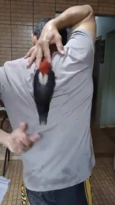 New avoidance programming looks fucking scary