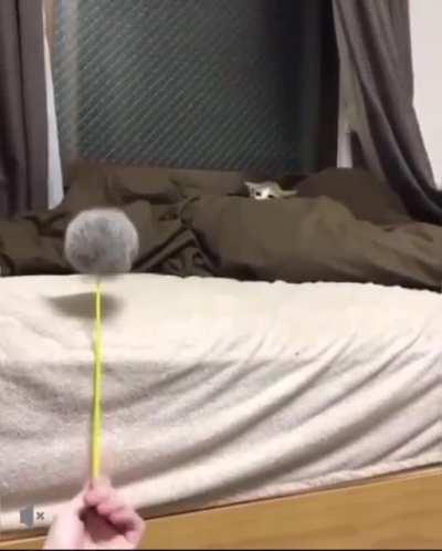 My monster of the Deep 😈