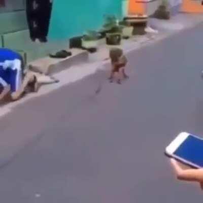 Será esse o amigo do tobia?🤔🤔