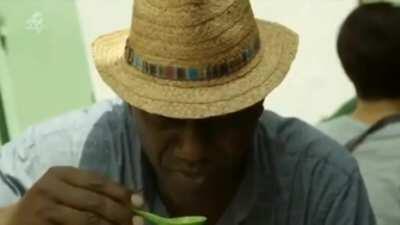 Damn the teh is understandable but cham hits this Briton on the wrong side