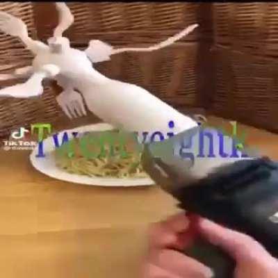 Losercity science facility.