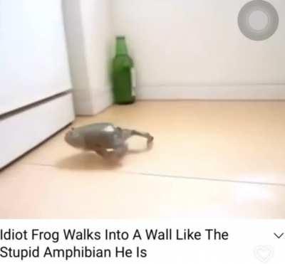 what a STUPID amphibian