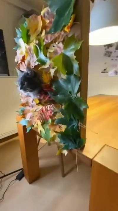 Кругом сплошное наебалово