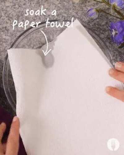 3 Ingredient Chocolate Mousse Cake