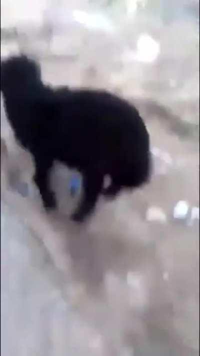 Me trying to go YOLO on naked options...