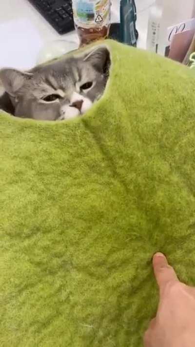 Dude, they only give us two 15 minute breaks. Do you, and let me do me.