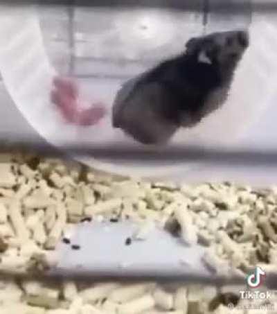 Mother of the year goes to