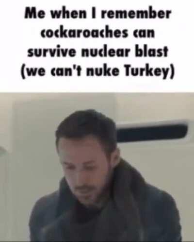 i dislike turkey