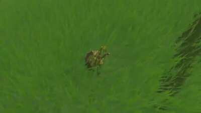 Link gets sent to hell