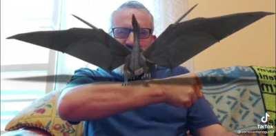 Feliz CuM ple💍🤑