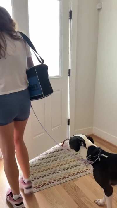 Rainy picnic w. Stella