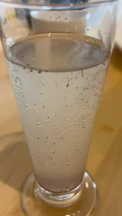 I made fermenemted Sumac Soda