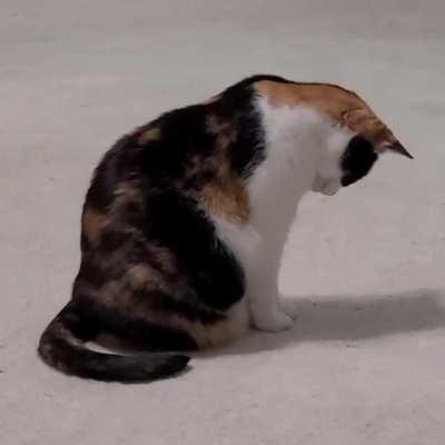 This is truly an interesting shadow...