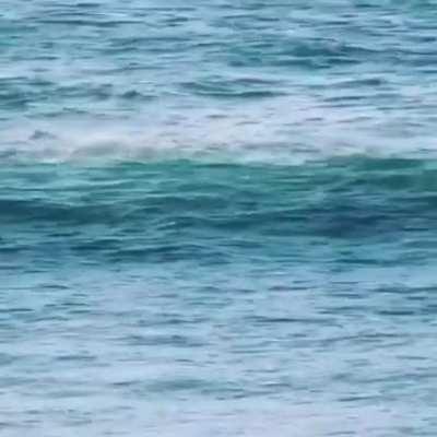 HMC when I try to ace this move