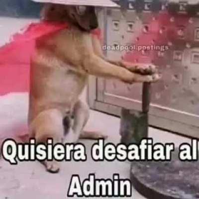 Donde está el mono lider?