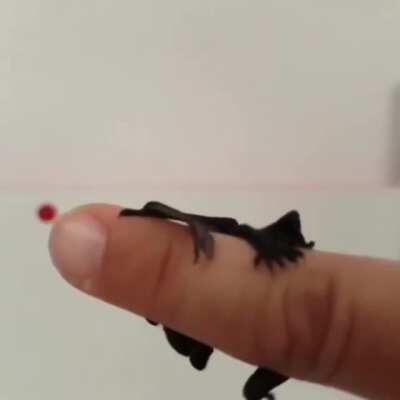 I am the night! Fear me!