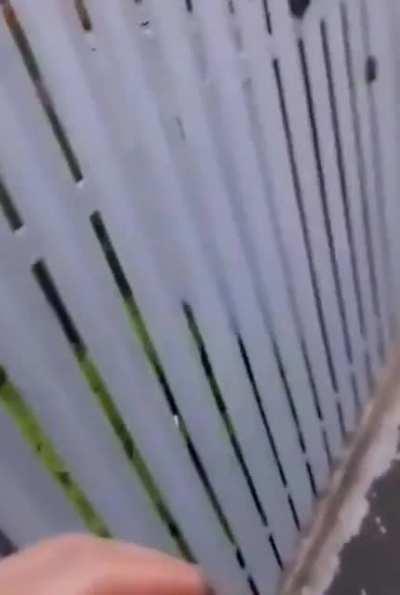 Can someone explain why this happened?