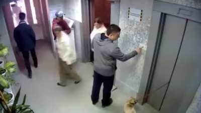 Dog in scary situation with elevator