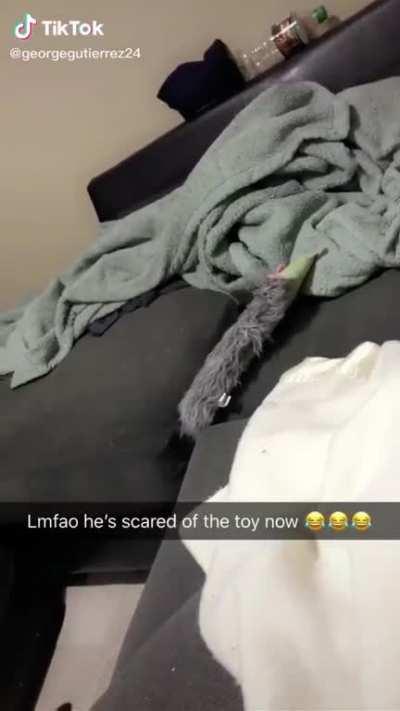 Air strike coordinates received, inbound