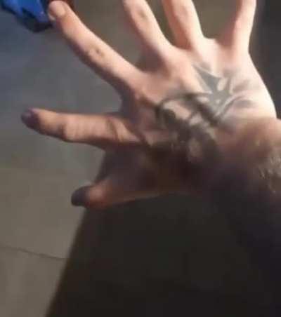 What Amygdala sees just before taking you to the nightmare.