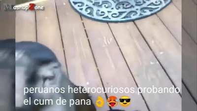 peruanos heterocuriosos 😎