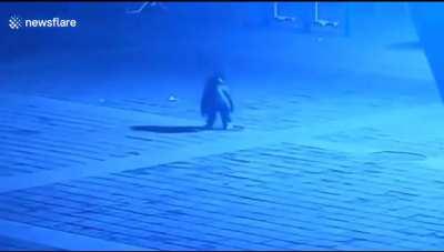 kid blows up manhole cover, manhole cover gets revenge.