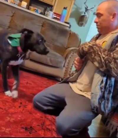 The face he had was...