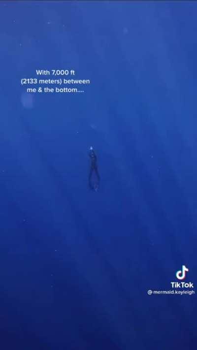 I hate everything about this