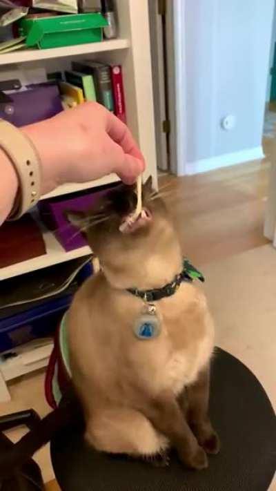 He hates it when the cheese sticks are feisty...