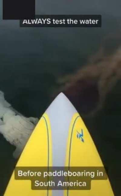 But how big are they?