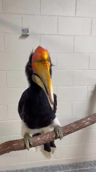 Since that Ankylosaur was found with an Avian Larynx, does that mean dinosaurs sounded like this?