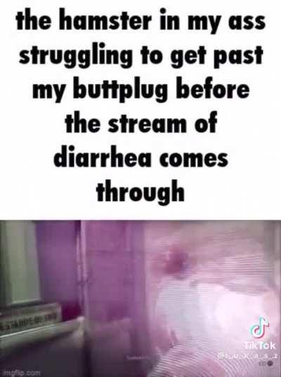 and they say hamsters have pretty strange deaths