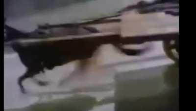 Caballo corriendo en una calle con musica medieval epica