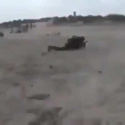 Maluco chegando atrasado no Dia D