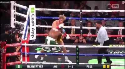 Logan Paul Mashing Them Cheatcodes